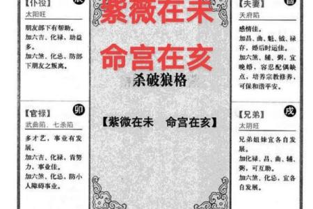 紫微斗数紫薇星