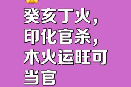 已卯八字