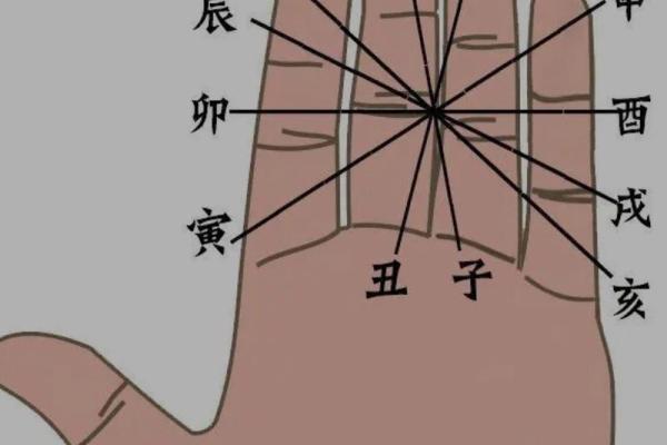 八字看天干