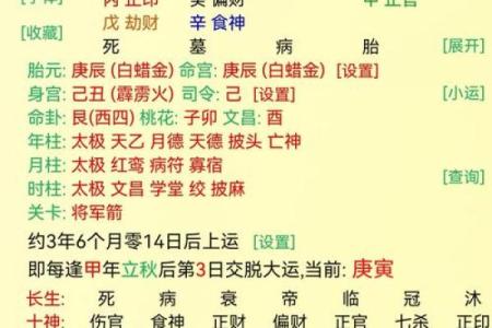 事业运八字