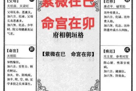 紫薇星坐田宅宫男命