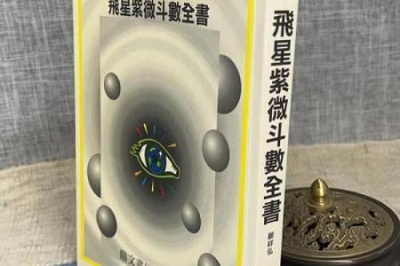 紫薇斗数书籍在线观看
