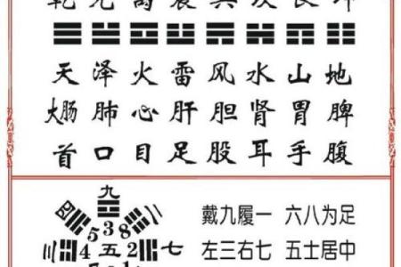 象法八字