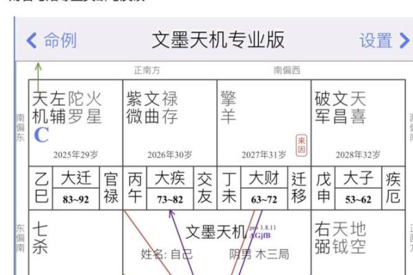紫微斗数实战 紫微斗数实战案例？