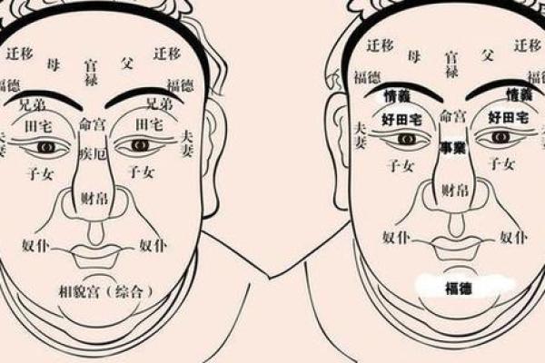 济缘算命：解读鼻子对命运的影响