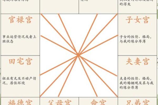 紫薇斗数中官禄