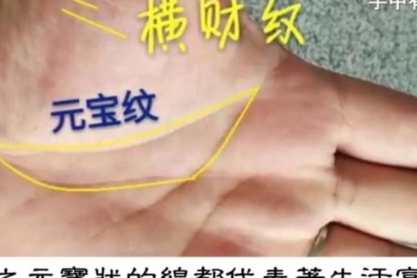 看手相算命：第三课 指头与掌型