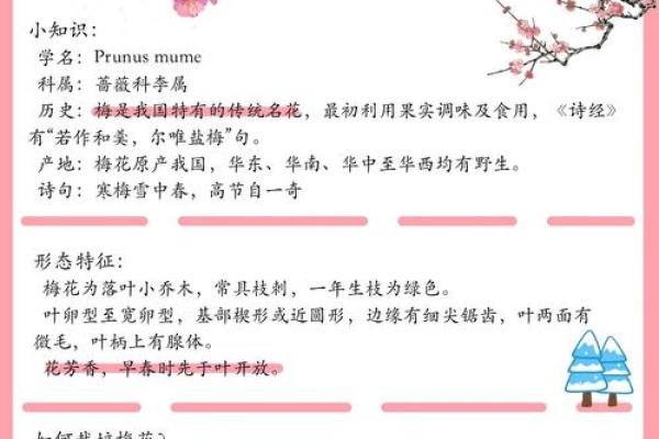 关于梅花的寓意和象征风水
