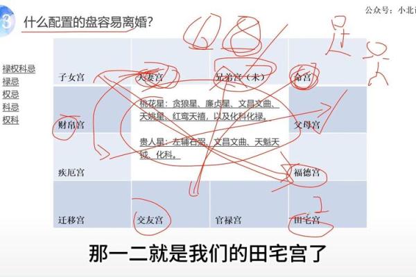 紫薇斗数离婚后怎么看再婚 紫薇斗数离婚后怎么看再婚
