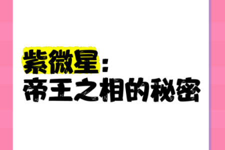 紫薇斗数四帝星