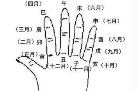 如何用八字算命