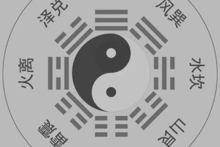 当大官的八字