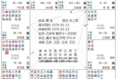 什么样的八字才算是紫薇星命