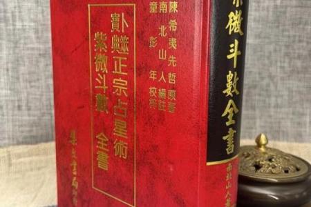 紫微斗数文库 紫微斗数全书原文注解？