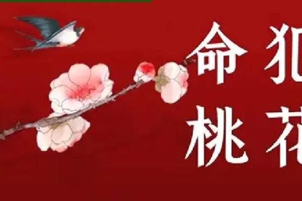 犯桃花的八字