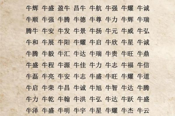 半夜出生的属牛男孩取名常用字有哪些姓名