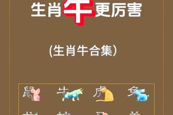 怎么样给下午5点出生的属牛男孩取名字好姓名