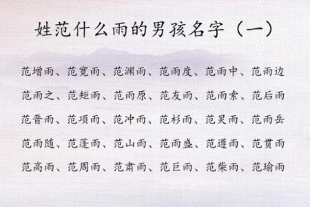 2019年6月24号寅时出生的男孩应该起什么样的名字姓名