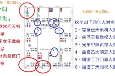 紫薇斗数校园暴力