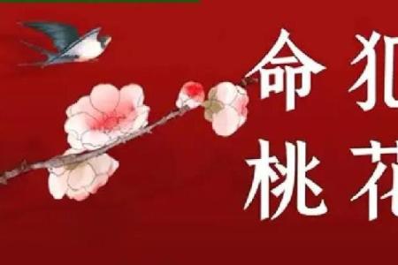 犯桃花的八字