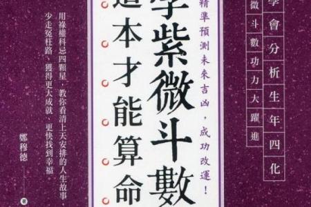 紫薇斗数正耀