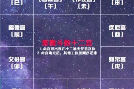 紫微斗数看美女 紫微斗数看美女格局？