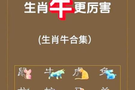 怎么样给下午5点出生的属牛男孩取名字好姓名