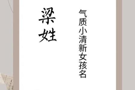 梁姓男孩名字大全-梁姓男孩起名字大全-梁姓名字大全姓名
