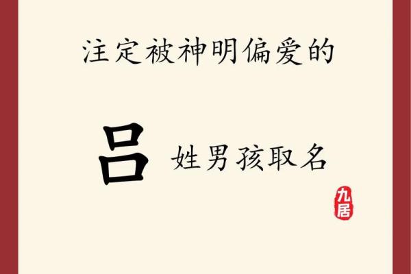 2019年3月29号巳时出生的男孩起名时要注意什么姓名