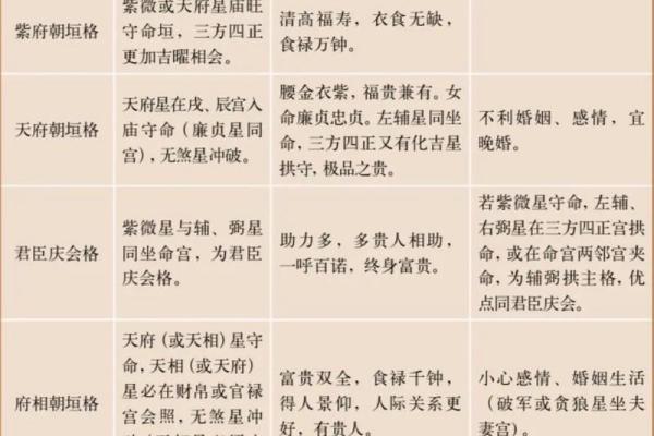 紫薇斗数pdf