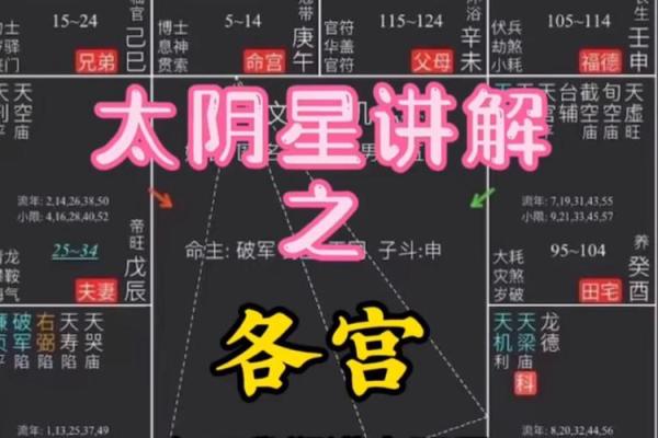 紫薇斗数太阴守事业