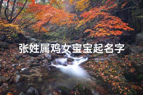 上午11点出生的属鸡男孩适合怎么样取名字姓名