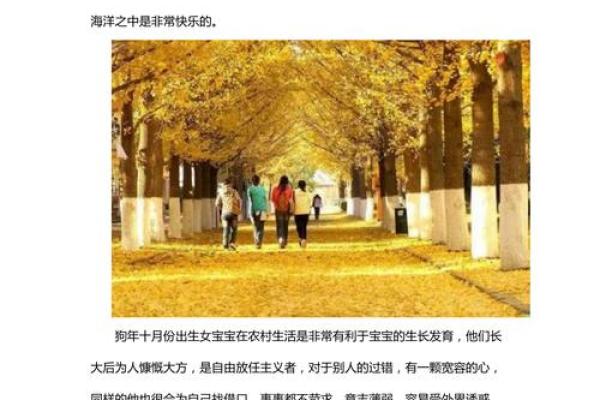 十月份出生的属狗男孩应该如何取一个好名字姓名