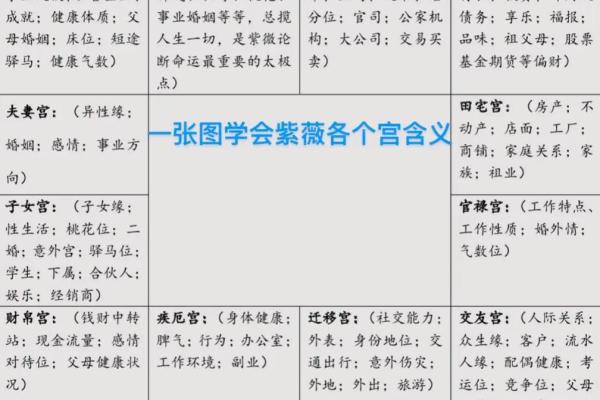 紫薇斗数各宫位
