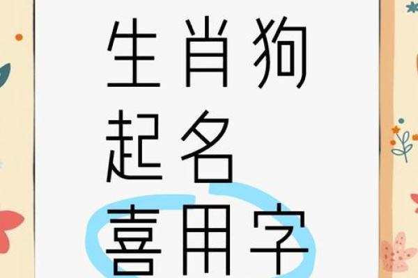 2018年生肖狗宝宝如何取名？狗宝宝取名有何禁忌？-华易网姓名