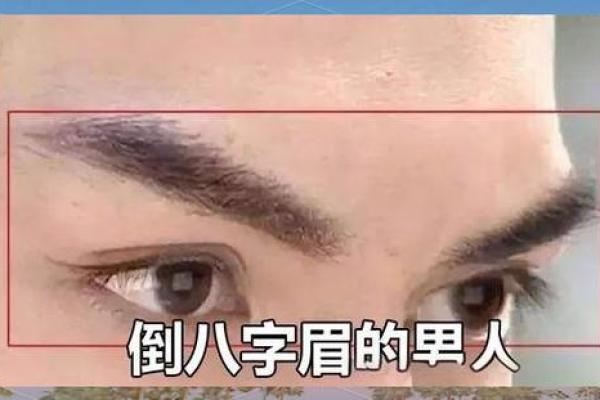八字眉的男人命运