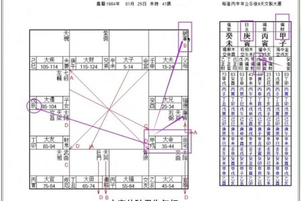 紫薇斗数排盘群
