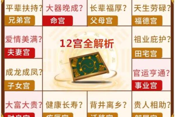 紫薇斗数炒股发财