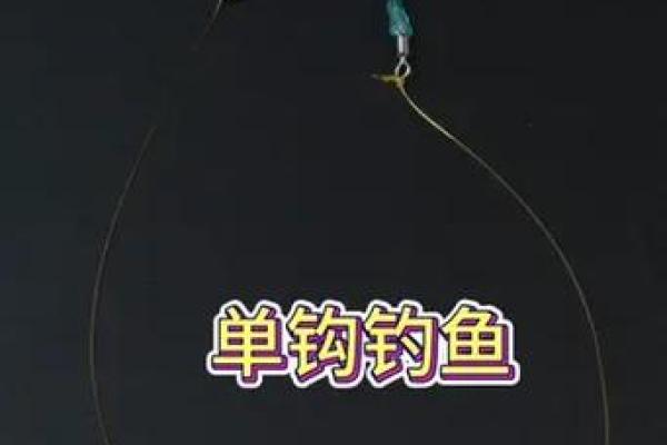 八字环单钩