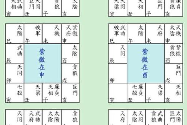 紫薇斗数基本