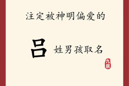 2019年3月29号巳时出生的男孩起名时要注意什么姓名