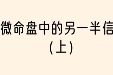 紫薇斗数嫁贵夫