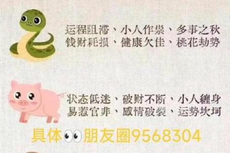 属相八字算命
