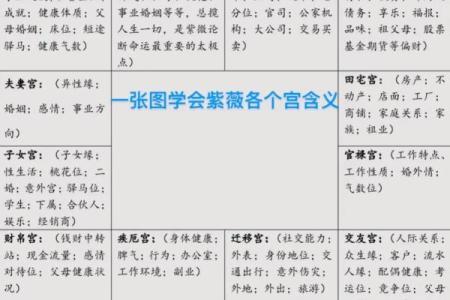 紫薇斗数各宫位