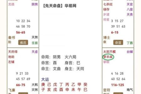紫薇斗数领导