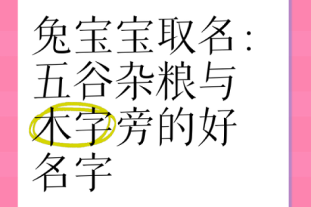 带木字旁的男孩名字-名字大全-姓名学-华易算命网姓名
