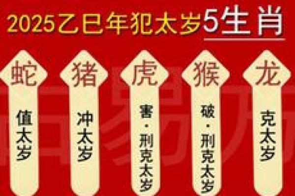 童子命在线排盘速查 根据生辰八字 得出查询结果