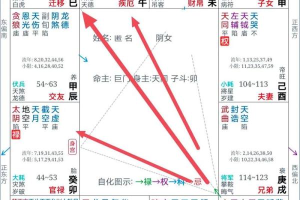 紫薇斗数小土