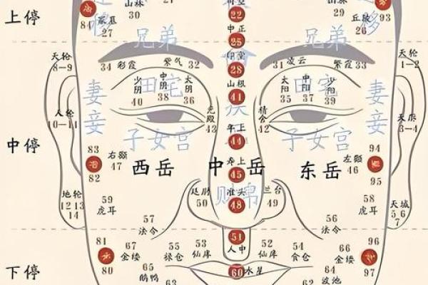 脸上各部位的胎记算命