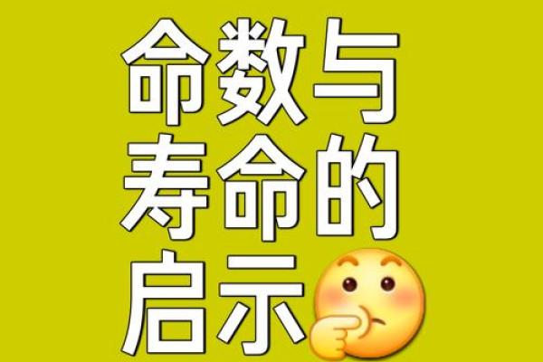 为什么算命的寿命都不长